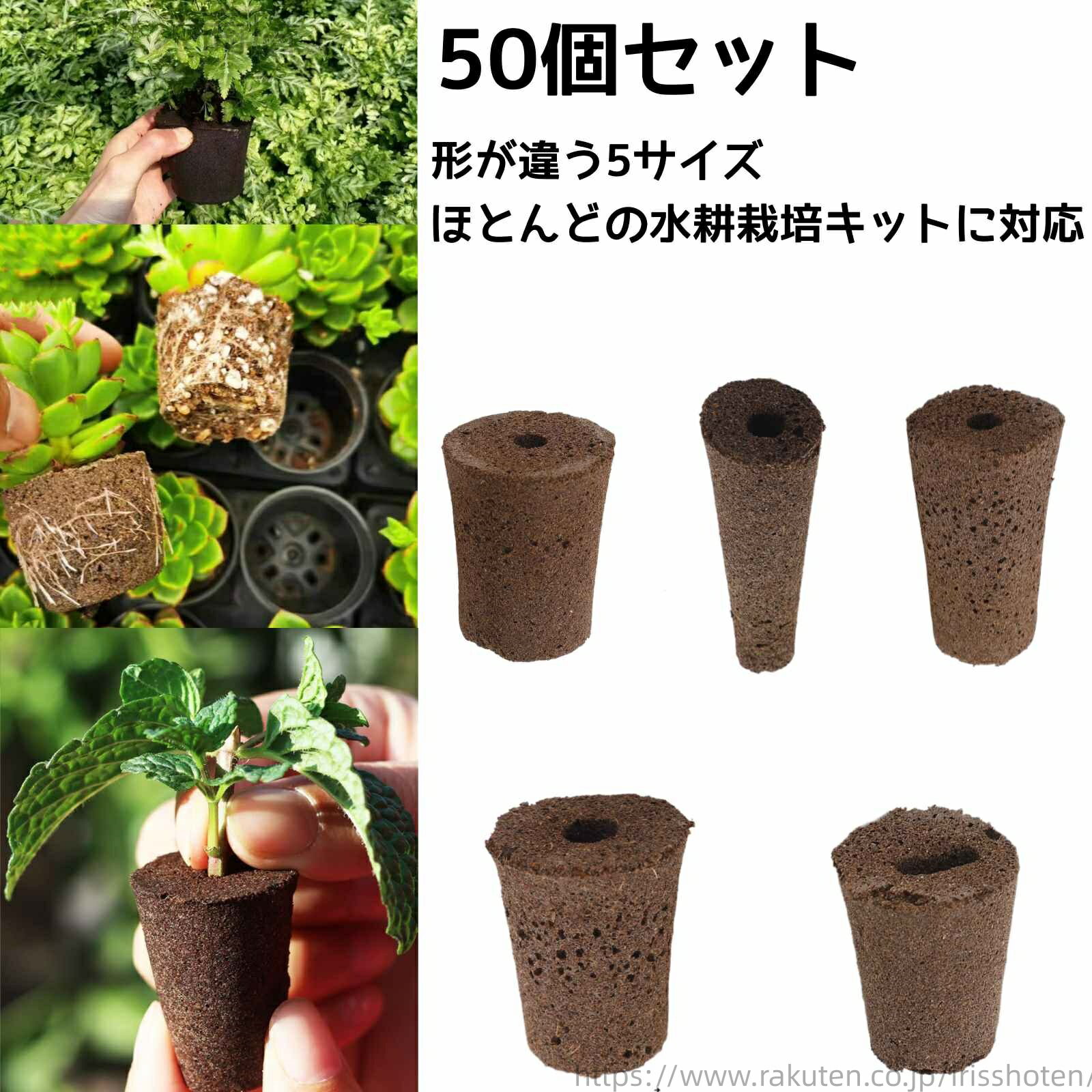 【送料無料】水耕スポンジ水耕栽培キット 栽培キット 植えるスポンジ 有機 スポンジ培地 ウレタン培地 ..