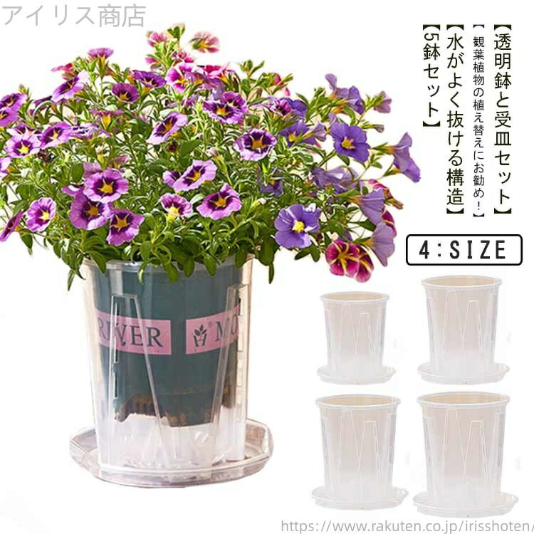 【送料無料】植木鉢 受皿付き 5鉢セット 人気 クリア 根が見える鉢 多肉植物 観葉植物の植え替え 観葉植物の鉢 排水穴付き 透明 根腐れ防止