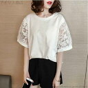 【送料無料】大きいサイズ ゆったりカットソー 韓国風 オシャレ 白トップス 春夏 綿 半袖Tシャツ レディース 40代 ブラウス Tシャツ