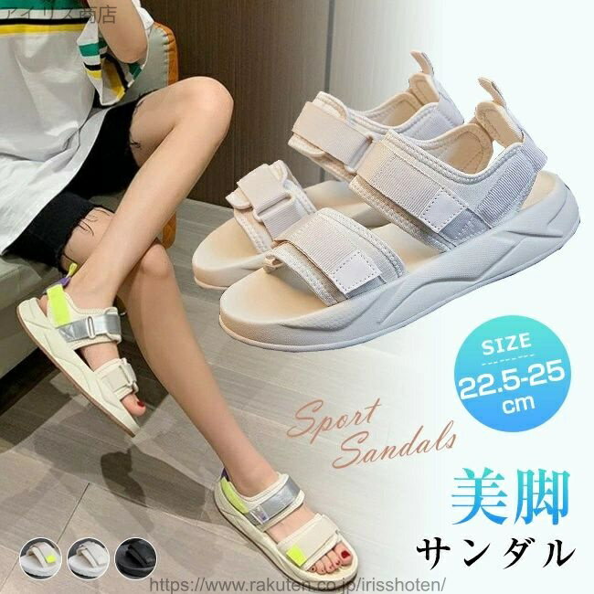 ̵ۥ ǥ  3cm ݡĥ 쥵 ߤ   ⤭䤹 ˡ 礭 ե...