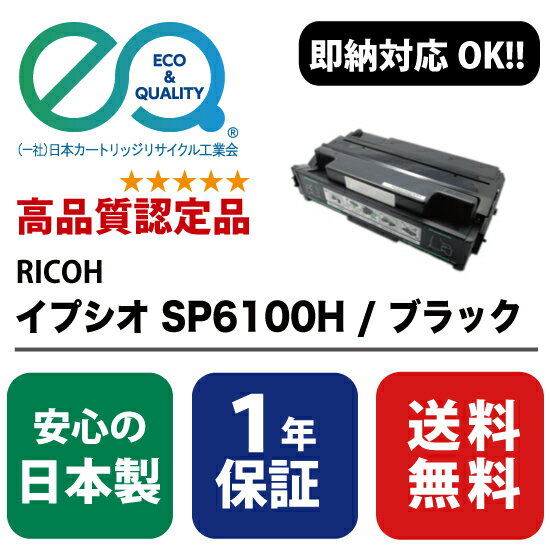 RICOH (リコー) イプシオ SP6100H 大容量