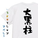 【長袖・ドライ有】デブ系Tシャツ【ダイエットします!】おもしろTシャツ ネタTシャツ 文字Tシャツ ギフト プレゼント 贈り物 メッセージ 名言 団体 ウケ狙い 誕生日 記念日 職場 飲み会 推し活 出し物 発表会 学生