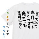 【長袖・ドライ有】デブ系Tシャツ【どっちみち正月太るならつまり痩せても意味はない】おもしろTシャツ ネタTシャツ 文字Tシャツ ギフト プレゼント 贈り物 メッセージ 名言 団体 ウケ狙い 誕生日 記念日 職場 飲み会 推し活 出し物 発表会 学生