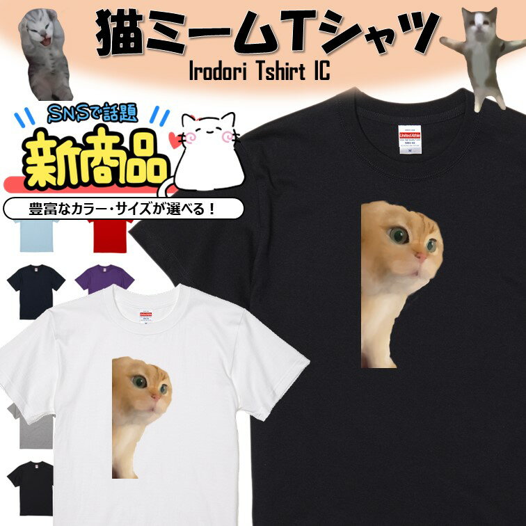 【長袖・ドライ有】猫ミーム Tシャツ【説教猫】 イラスト おもしろ Tシャツ ネタ 文字 猫 ネコ SNS ちぴちぴちゃぱちゃぱ ギフト プレゼント かわいい メッセージ 名言 団体 ウケ狙い 誕生日 記念日 職場 飲み会 推し活 出し物 発表会 学生 綿