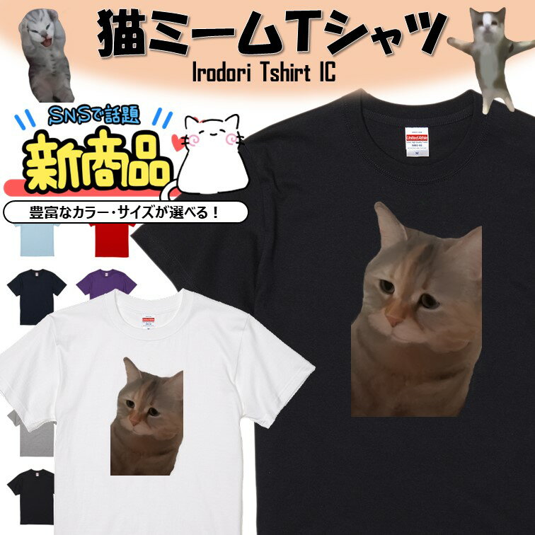 【長袖・ドライ有】猫ミーム Tシャツ【説教される猫】 イラスト おもしろ Tシャツ ネタ 文字 猫 ネコ SNS ちぴちぴちゃぱちゃぱ ギフト プレゼント かわいい メッセージ 名言 団体 ウケ狙い 誕生日 記念日 職場 飲み会 推し活 出し物 発表会 学生 綿