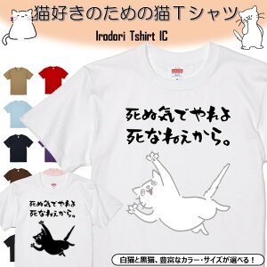 【長袖・ドライ有】 おもしろ猫tシャツ 【死ぬ気でやれよ死なねぇから。1（しょかき）】 おもしろ tシャツ 選べる イラスト 動物 猫 ねこ cat にゃんこ ネタ 文字 ネコ かわいい ゆるキャラ キッズ 子供 大人 ギフト プレゼント 名言 部屋着