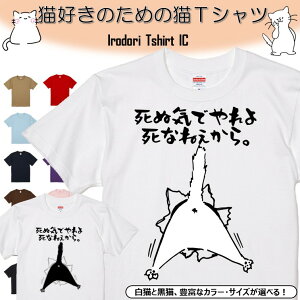 【長袖・ドライ有】 おもしろ猫tシャツ 【死ぬ気でやれよ死なねぇから。2（しょかき）】 おもしろ tシャツ 選べる イラスト 動物 猫 ねこ cat にゃんこ ネタ 文字 ネコ かわいい ゆるキャラ キッズ 子供 大人 ギフト プレゼント 名言 部屋着