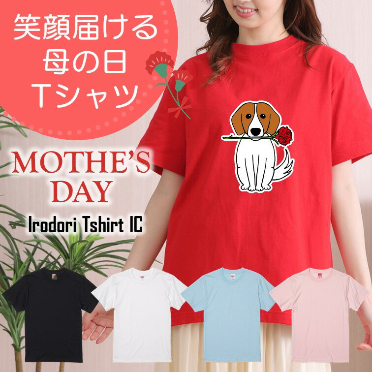 楽天彩りTシャツアイシー楽天市場店ギフト対応 母の日Tシャツ【デコピンカーネーション】 プレゼント 名入れ 文字入れ 写真 画像 実用的 喜ぶ おもしろ ネタ 文字 オリジナル かわいい お母さん ママ 母親 母 花以外 誕生日 記念日 長袖 ドラ 料理 掃除 家事 キッチン