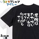 【長袖・ドライ有】ネタ系Tシャツ【禁煙はたやすい事だ。私はすでに、何千回もやった。】 おもしろTシャツ ネタTシャツ 文字Tシャツ ギフト プレゼント かわいい...