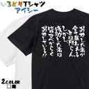 【長袖・ドライ有】アニメ名言系Tシャツ【努力した者が全て報われるとは限らん。しかし成功した者は皆すべからく努力している】 おもしろTシャツ ネタTシャツ 文字Tシャツ メッセージ 名言 団体 ウケ狙い 誕生日 職場 飲み会 出し物 発表会 学生