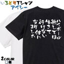 【長袖・ドライ有】酒飲み系Tシャツ【ハイボールなしでは生きて行けない体になりました】 おもしろTシャツ ネタTシャツ 文字Tシャツ ギフト プレゼント かわいい メッセージ 名言 団体 ウケ狙い 誕生日 記念日 職場 飲み会 推し活 出し物 発表会 学生 綿