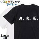 【長袖 ドライ有】野球系Tシャツ【A．R．E．】 おもしろTシャツ ネタTシャツ 文字Tシャツ ギフト プレゼント 流行語 名言 団体 ウケ狙い 誕生日 記念日 職場 飲み会 推し活 出し物 発表会 阪神タイガース 岡田監督