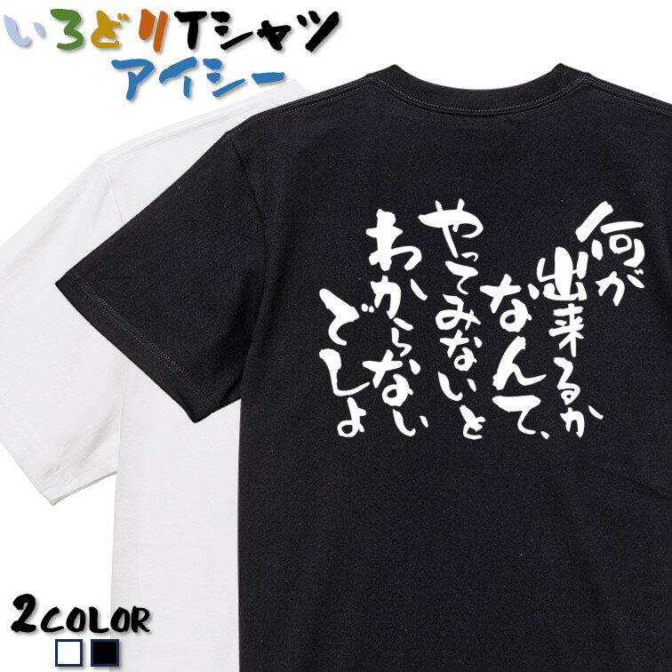 Rakuten - 【長袖・ドライ有】名言系Tシャツ【何が出来るかなんて、やってみないとわからないでしょ】 おもしろTシャツ ネタTシャツ 文字Tシャツ ギフト プレゼント かわいい メッセージ 名言 団体 ウケ狙い 誕生日 記念日 職場 飲み会 推し活 出し物 発表会 学生 綿