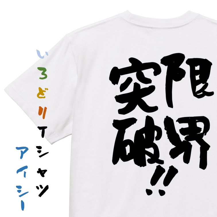 Rakuten - 【長袖・ドライ有】勉強系Tシャツ【限界突破！！】おもしろTシャツ ネタTシャツ 文字Tシャツ ギフト プレゼント 贈り物 メッセージ 名言 団体 ウケ狙い 誕生日 記念日 職場 飲み会 推し活 出し物 発表会 学生