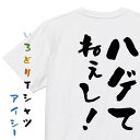 【長袖・ドライ有】ハゲ系Tシャツ【ハゲてねぇし!】おもしろTシャツ ネタTシャツ 文字Tシャツ ギフト プレゼント 贈り物 メッセージ 名言 団体 ウケ狙い 誕生日 記念日 職場 飲み会 推し活 出し物 発表会 学生
