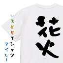 【長袖・ドライ有】アウトドア系Tシャツ【花火】 おもしろTシャツ ネタTシャツ 文字Tシャツ ギフト プレゼント メンス レディース かわいい メッセージ 名言 団体 ウケ狙い 誕生日 記念日 職場 飲み会 推し活 出し物 発表会 学生 綿
