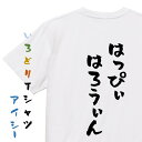 【長袖・ドライ有】ハロウィンTシャツ【はっぴぃはろうぃん】おもしろTシャツ ネタTシャツ 文字Tシャツ ギフト プレゼント 贈り物 メッセージ 名言 団体 ウケ狙い 誕生日 記念日 職場 飲み会 推し活 出し物 発表会 学生