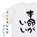 【長袖・ドライ有】バレンタイン系Tシャツ【本命がいい】おもしろTシャツ ネタTシャツ 文字Tシャツ  ...