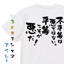 【長袖・ドライ有】アニメ名言系Tシャツ【不平等は悪ではない。平等こそが悪だ!】おもしろTシャツ ネタTシャツ 文字Tシャツ ギフト プレゼント 贈り物 メッセー...