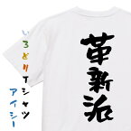 【長袖・ドライ有】ネタ系Tシャツ【革新派】おもしろTシャツ ネタTシャツ 文字Tシャツ ギフト プレゼント 贈り物 メッセージ 名言 団体 ウケ狙い 誕生日 記念日 職場 飲み会 推し活 出し物 発表会 学生