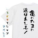 【長袖・ドライ有】夢の国系Tシャツ【亀にたまに選ばれしモノ】おもしろTシャツ ネタTシャツ 文字Tシャツ ギフト プレゼント 贈り物 メッセージ 名言 団体 ウケ狙い 誕生日 記念日 職場 飲み会 推し活 出し物 発表会 学生