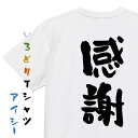 【長袖・ドライ有】感謝系Tシャツ【感謝】敬老の日 おもしろTシャツ ネタTシャツ 文字Tシャツ ギフト プレゼント 贈り物 メッセージ 名言 団体 ウケ狙い 誕生日 記念日 職場 飲み会 推し活 出し物 発表会 学生