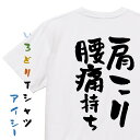 【長袖・ドライ有】病気系Tシャツ【肩こり腰痛持ち】おもしろTシャツ ネタTシャツ 文字Tシャツ ギフト プレゼント 贈り物 メッセージ 名言 団体 ウケ狙い 誕...