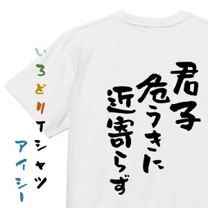 【長袖・ドライ有】意味が逆?あべこべTシャツ【君子危うきに近寄らず&虎穴に入らずんば虎子を得ず】おもしろTシャツ ネタTシャツ 文字Tシャツ ギフト プレゼント 贈り物 メッセージ 名言 団体 ウケ狙い 誕生日 記念日 職場 飲み会 推し活 出し物 発表会 学生