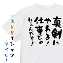 【長袖・ドライ有】脱力系Tシャツ【真剣にやれよ!仕事じゃねぇんだぞ!】おもしろTシャツ ネタTシャツ 文字Tシャツ ギフト プレゼント 贈り物 メッセージ 名言 団体 ウケ狙い 誕生日 記念日 職場 飲み会 推し活 出し物 発表会 学生