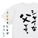 【長袖・ドライ有】家族系Tシャツ【シャイな父です。】おもしろTシャツ ネタTシャツ 文字Tシャツ ギフト プレゼント 贈り物 メッセージ 名言 団体 ウケ狙い ...