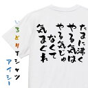 【長袖・ドライ有】脱力系Tシャツ【たまに沸くやる気はやる気じゃなくて気まぐれ】おもしろTシャツ ネタTシャツ 文字Tシャツ ギフト プレゼント 贈り物 メッセージ 名言 団体 ウケ狙い 誕生日 記念日 職場 飲み会 推し活 出し物 発表会 学生