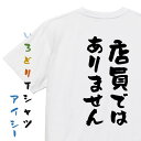【長袖・ドライ有】ネタ系Tシャツ【店員ではありません】おもしろTシャツ ネタTシャツ 文字Tシャツ ギフト プレゼント 贈り物 メッセージ 名言 団体 ウケ狙い 誕生日 記念日 職場 飲み会 推し活 出し物 発表会 学生