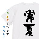 【長袖・ドライ有】アウトドア系Tシャツ【常夏】 おもしろTシャツ ネタTシャツ 文字Tシャツ ギフト プレゼント メンス レディース かわいい メッセージ 名言...