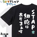 【長袖・ドライ有】名言系Tシャツ【STAP細胞はありまぁす】 おもしろTシャツ ネタTシャツ 文字Tシャツ ギフト プレゼント かわいい メッセージ 名言 団体...