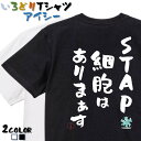 ＼4/25限定！最大半額クーポン有／名言系Tシャツ おもしろTシャツ ネタTシャツ 文字Tシャツ ギフト プレゼント かわいい メッセージ 名言 団体 ウケ狙い 誕生日 記念日 職場 飲み会 推し活