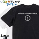 【長袖 ドライ有】ネタ系Tシャツ【This video has been deleted.】 おもしろTシャツ ネタTシャツ 文字Tシャツ ギフト プレゼント かわいい メッセージ 名言 団体 ウケ狙い 誕生日 記念日 職場 飲み会 推し活