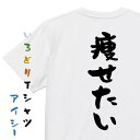 【長袖・ドライ有】デブ系Tシャツ【痩せたい】おもしろTシャツ ネタTシャツ 文字Tシャツ ギフト プレゼント 贈り物 メッセージ 名言 団体 ウケ狙い 誕生日 記念日 職場 飲み会 推し活 出し物 発表会 学生