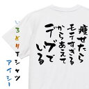 【長袖・ドライ有】デブ系Tシャツ【痩せたらモテすぎるからあえてデブでいる】おもしろTシャツ ネタTシャツ 文字Tシャツ ギフト プレゼント 贈り物 メッセージ 名言 団体 ウケ狙い 誕生日 記念日 職場 飲み会 推し活 出し物 発表会 学生