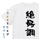 ポジティブ系TシャツおもしろTシャツ ネタTシャツ 文字Tシャツ ギフト プレゼント 贈り物 メッセージ 名言 団体 ウケ狙い 誕生日 記念日 職場 飲み会 推し活 出し物 発表会 学生