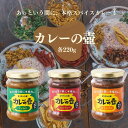 【4/24～27限定最大600円offクーポン】 ＼全3種類／ カレーの壺 ペースト 220g マイルド スパイシー オリジナル グルテンフリー カレーペースト 無添加 カレールウ スリランカカレー スパイスカレー