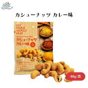 カシューナッツ カレー味 60g 16種スパイス&ハーブブレンドカレー 無添加 風味豊か