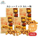 カシューナッツ カレー味 60g x4袋 16種スパイス&ハーブブレンドカレー 無添加 風味豊か