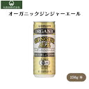 ヒカリ オーガニックジンジャーエール 250ml 国産有機しょうがを使用した本物のジンジャーエール 有機JAS認定品