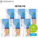 【8/4~10限定最大400offクーポン】一億年前の塩 40g x6袋 煎餅 福島県産米 湖塩 ミネラル豊富 おつまみ