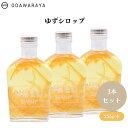 【6/22~26限定最大400offクーポン】ゆずシロップ 255g x3本 高知県産 贅沢 炭酸水 お湯 冷温両用 万能シロップ