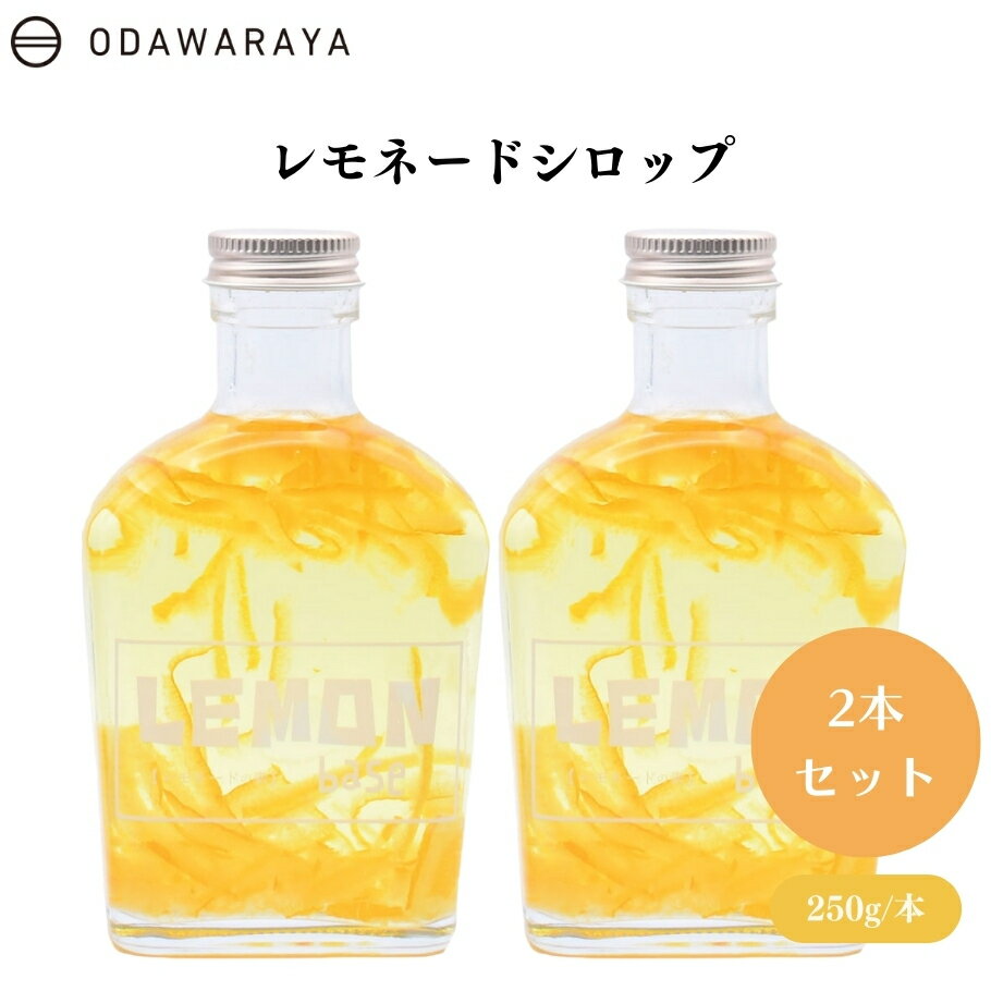 【6/22～26限定最大400offクーポン】レモネードシロップ 250g x2本 国産レモン 本格 手軽 炭酸水 簡単レモネード