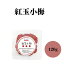 オーサワ 海の精 紅玉小梅 120g 塩分濃度約18％　国産小梅・有機紫蘇使用　程よい酸味、紫蘇の香りが際立つ 良県吉野や紀州の契約栽培の小梅、有機しそ使用