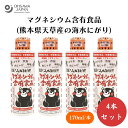 【5/23~26限定最大400offクーポン】マグネシウム含有食品(熊本県天草産の海水にがり) 170ml x4本 炊飯や煮物、みそ汁、豆腐づくりに、一滴出しキャップ、栄養機能食品(マグネシウム)は、骨や歯の形成に必要な栄養素、血液循環を正常に保つ、 塩