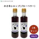 かき氷シロップ(ブルーベリー) 260g x2本 着色料・香料・酸化防止剤不使用・ヨーグルトやパンケーキにかけたり、炭酸やカクテルなどの飲み物に混ぜても・4~8月限定品 菓子