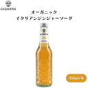 GALVANINA オーガニックイタリアンジンジャーソーダ 355ml 常温便 オーガニックジンジャーソーダ、ノンアルコール、爽やかな口当たり、イタリアン食前酒風